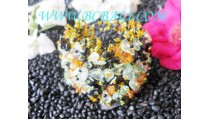 Multi Color Beads Bracelets Stone